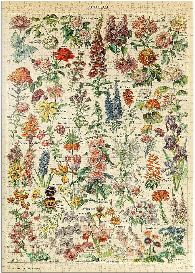 MyPuzzle Fleurs - Flores para Todos, Póster De Arte Vintage, Adolphe Millot - Premium 1000 Piezas Puzzles - Colección Especial MyPuzzle de Havana Puzzle Company