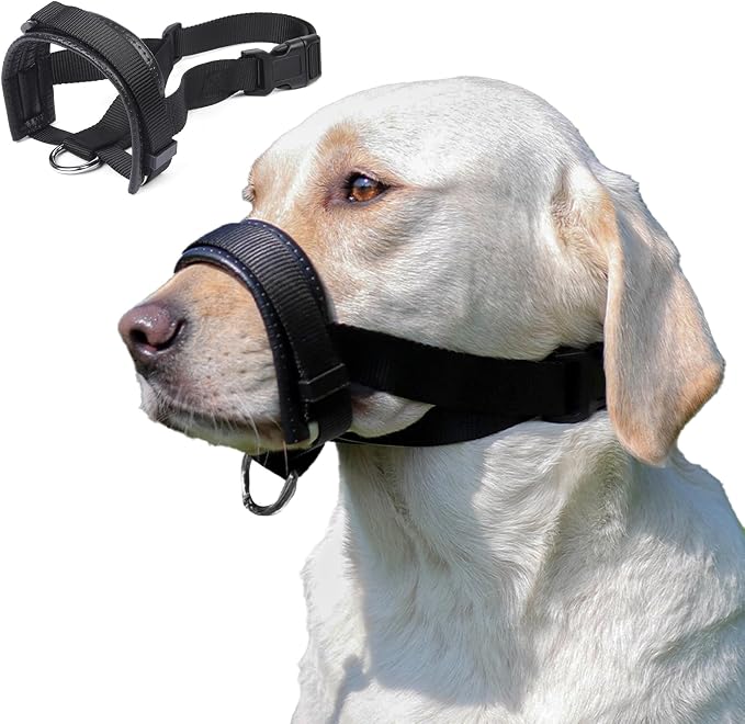 Bozal Antimasticación de Cuero para Perros Pequeños y Medianos, M