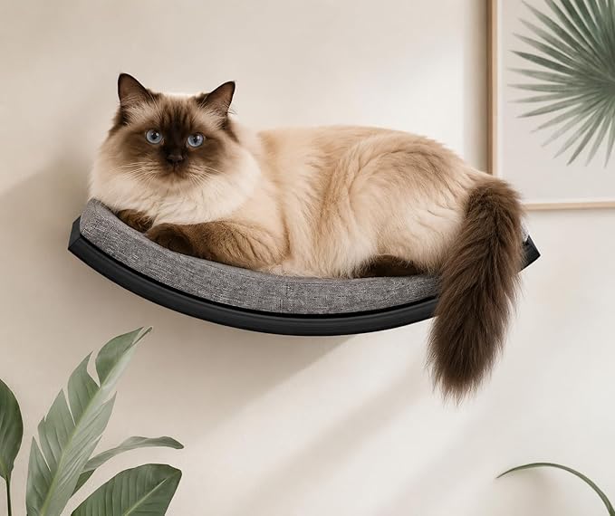 Estante de pared curvado para gatos con tapete de espuma, estante de plataforma para gatos montado en la pared para escalar siesta, muebles multifuncionales de madera para paredes de gatos para