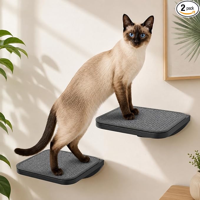 2 escaleras para gatos con alfombrilla rascadora, escalones para gatos montados en la pared, estantes de madera para gatos, escalera de gatos muebles para plataforma de perca