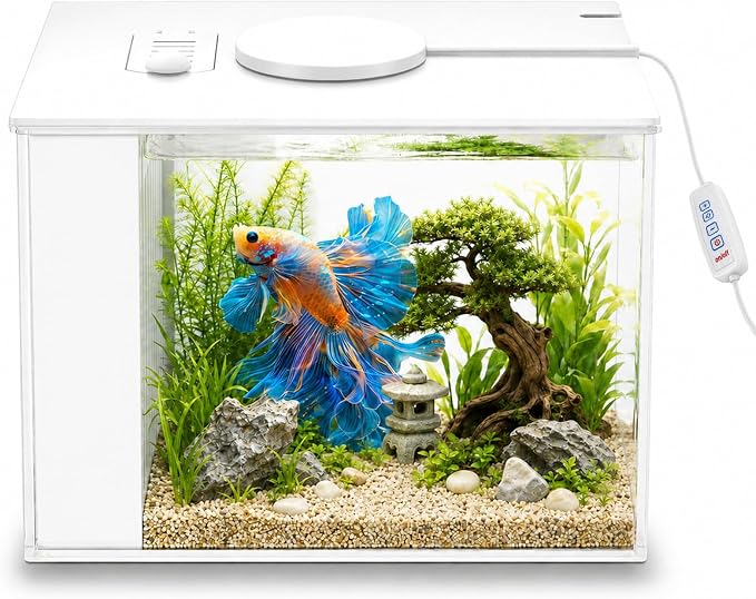 MeYuxg Juego Completo de Acuario de Cristal Transparente, 3,7L Acrílico Nano Acuario con Bomba de Filtro, Iluminación LED, Juego de Iniciación para Peces Pequeños, Gambas y Plantas